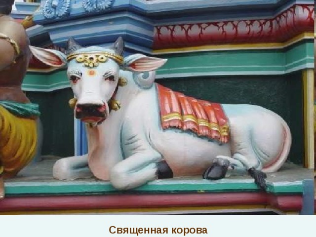Священная корова 