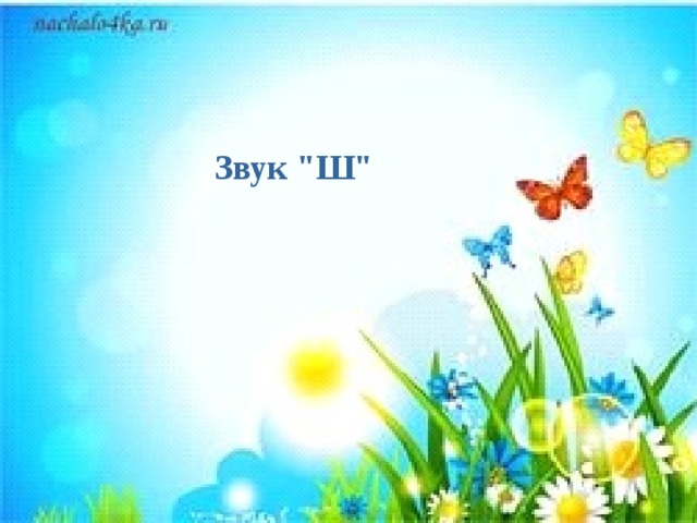 Звук 