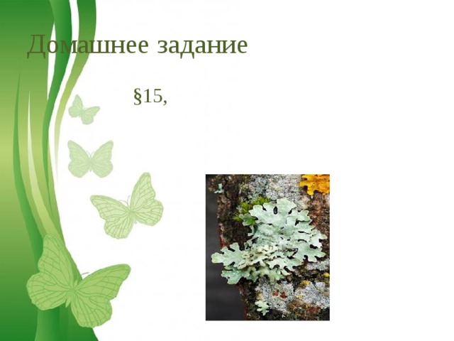 Домашнее задание §15, 