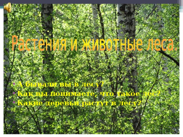 А бывали вы в лесу? Как вы понимаете, что такое лес? Какие деревья растут в лесу? 