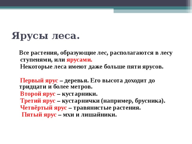Ярусы леса.  Все растения, образующие лес, располагаются в лесу  ступенями, или ярусами.   Некоторые леса имеют даже больше пяти ярусов.   Первый ярус – деревья. Его высота доходит до тридцати и более метров.  Второй ярус – кустарники.  Третий ярус – кустарнички (например, брусника).  Четвёртый ярус – травянистые растения.  Пятый ярус – мхи и лишайники.   