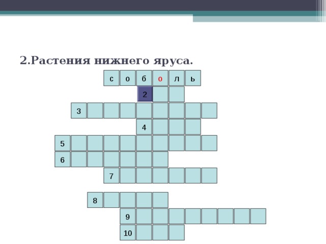 2.Растения нижнего яруса. ь л о б о с 2 3 4 5 6 7 8 9 10 