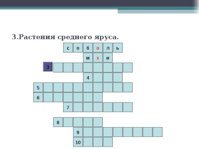 3.Растения среднего яруса. л о б о с ь х и м 3 4 5 6 7 8 9 10 
