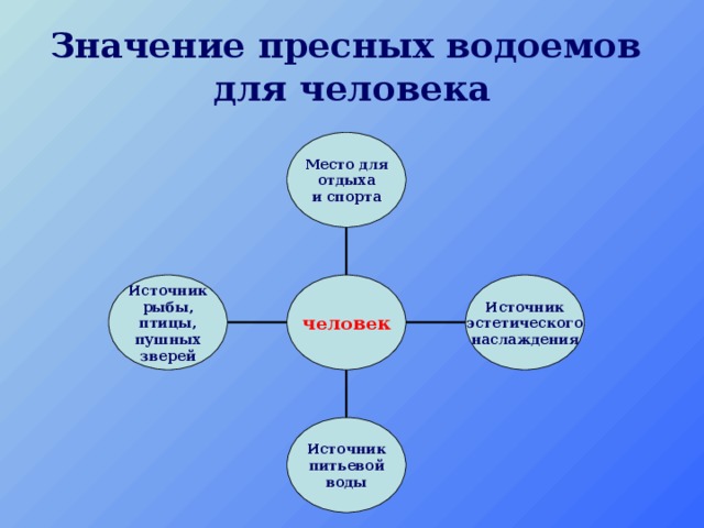 Значение пресных водоемов  для человека Место для отдыха и спорта Источник рыбы, птицы, пушных зверей Источник эстетического наслаждения человек Источник питьевой воды 