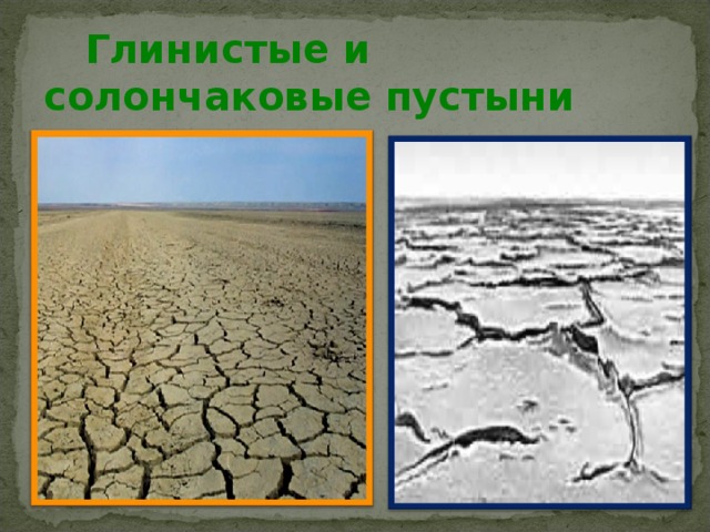  Глинистые и солончаковые пустыни 