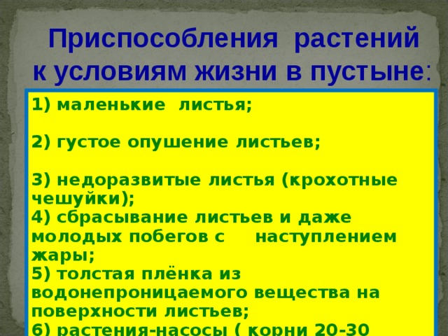  Приспособления растений к условиям жизни в пустыне : 1) маленькие листья; 2) густое опушение листьев; 3) недоразвитые листья (крохотные чешуйки); 4) сбрасывание листьев и даже молодых побегов с наступлением жары; 5) толстая плёнка из водонепроницаемого вещества на поверхности листьев; 6) растения-насосы ( корни 20-30 метров ); 7) утолщённые стебли или листья . 