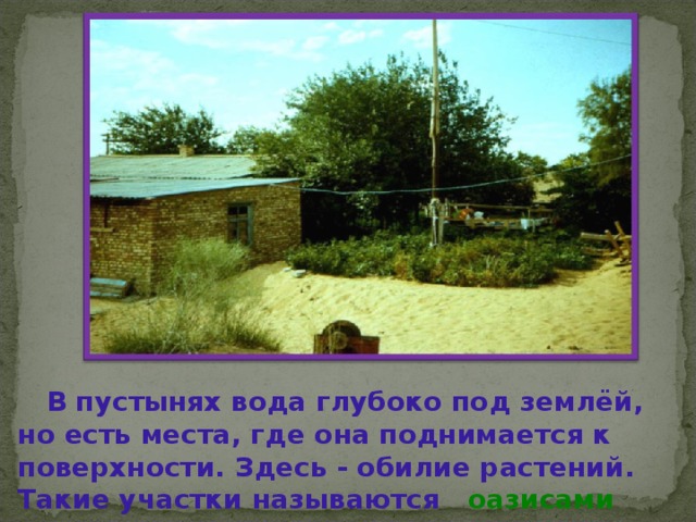  В пустынях вода глубоко под землёй , но есть места , где  она поднимается к поверхности . Здесь  - обилие растений . Такие участки называются оазисами 