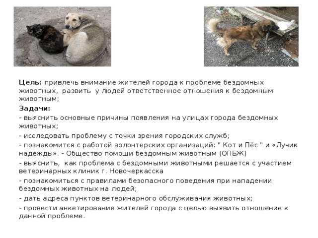 Цель: привлечь внимание жителей города к проблеме бездомных животных, развить у людей ответственное отношения к бездомным животным; Задачи: - выяснить основные причины появления на улицах города бездомных животных; - исследовать проблему с точки зрения городских служб; - познакомится с работой волонтерских организаций: 