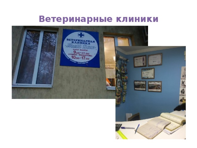 Ветеринарные клиники 