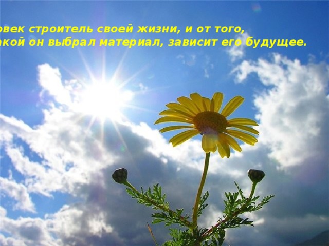 Человек строитель своей жизни, и от того,  какой он выбрал материал, зависит его будущее. 