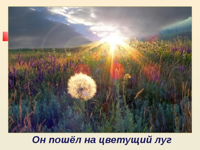 Он пошёл на цветущий луг  