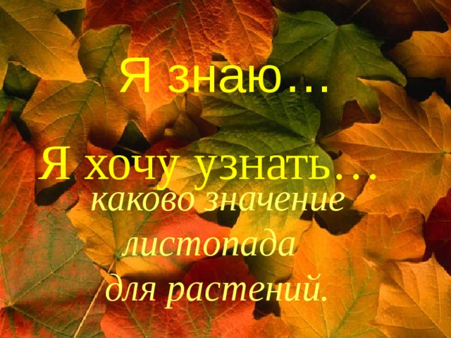    Я знаю…    Я хочу узнать… каково значение листопада для растений.  