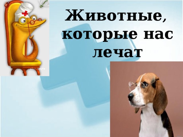 Животные ,  которые нас лечат 