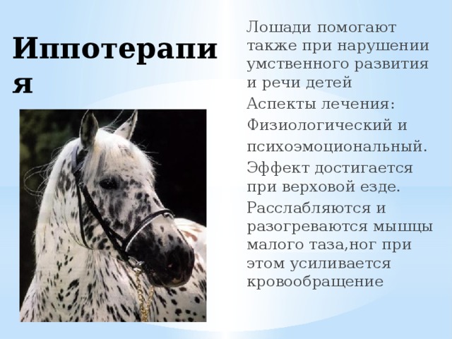 Лошади помогают также при нарушении умственного развития и речи детей Аспекты лечения: Физиологический и психоэмоциональный. Эффект достигается при верховой езде. Расслабляются и разогреваются мышцы малого таза,ног при этом усиливается кровообращение Иппотерапия 