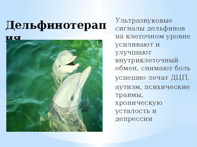Ультразвуковые сигналы дельфинов на клеточном уровне усиливают и улучшают внутриклеточный обмен, снимают боль успешно лечат ДЦП, аутизм, психические травмы, хроническую усталость и депрессии Дельфинотерапия 