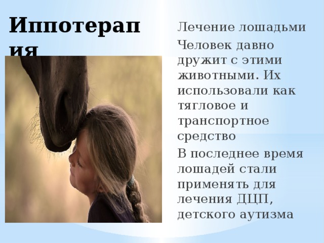 Иппотерапия Лечение лошадьми Человек давно дружит с этими животными. Их использовали как тягловое и транспортное средство В последнее время лошадей стали применять для лечения ДЦП, детского аутизма 