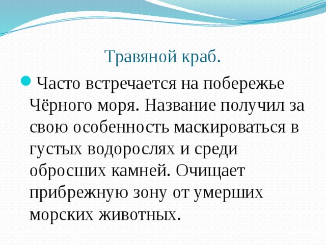 Травяной краб. Часто встречается на побережье Чёрного моря. Название получил за свою особенность маскироваться в густых водорослях и среди обросших камней. Очищает прибрежную зону от умерших морских животных. 
