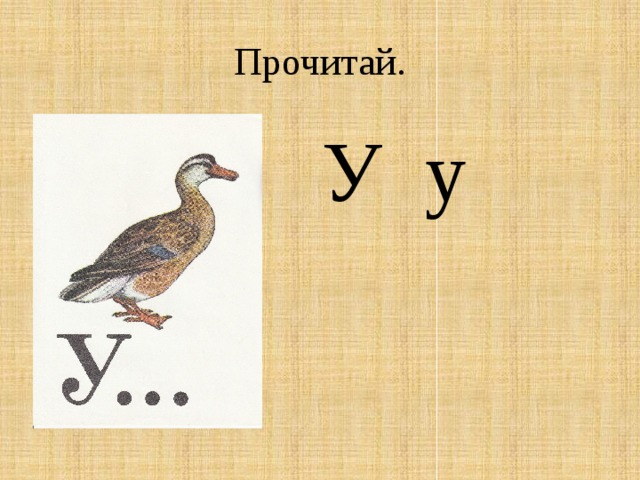 Прочитай.  У у 