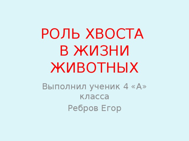 РОЛЬ ХВОСТА  В ЖИЗНИ ЖИВОТНЫХ Выполнил ученик 4 «А» класса Ребров Егор 