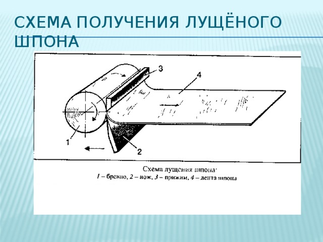 Схема получения лущёного шпона 