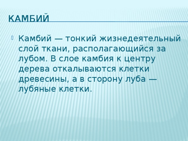 Камбий Камбий — тонкий жизнедеятельный слой ткани, располагающийся за лубом. В слое камбия к центру дерева откалываются клетки древесины, а в сторону луба — лубяные клетки. 
