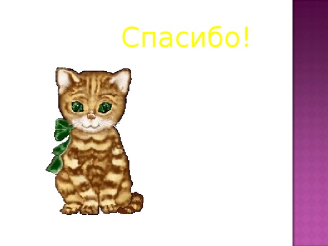 Спасибо! 