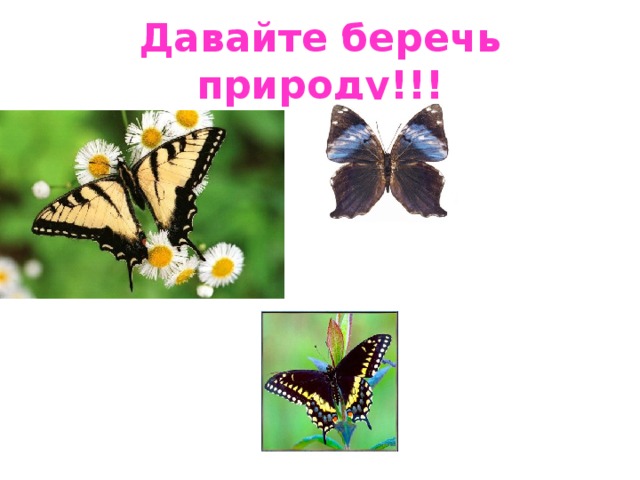 Давайте беречь природу!!! 