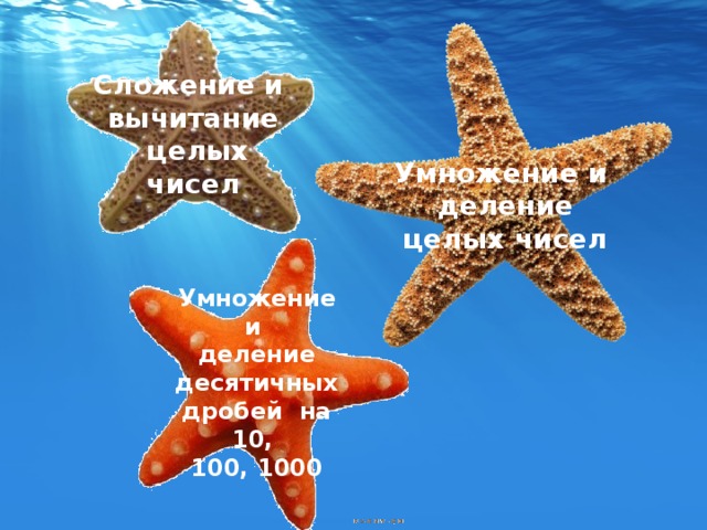Сложение и вычитание  целых чисел Умножение и деление  целых чисел Умножение и деление десятичных дробей на 10, 100, 1000 