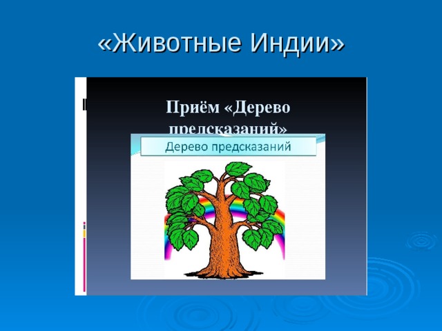 «Животные Индии» 