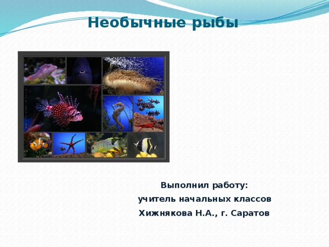 Необычные рыбы Выполнил работу: учитель начальных классов Хижнякова Н.А., г. Саратов 