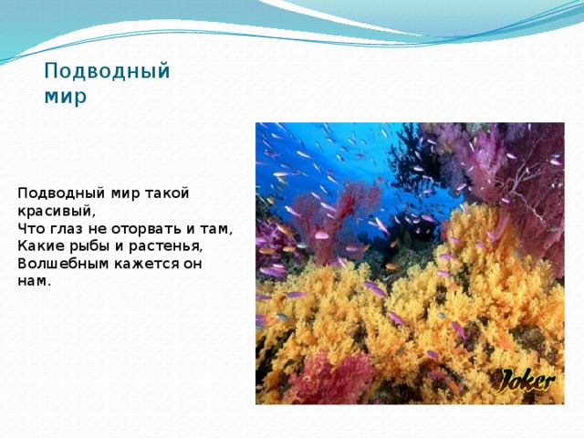 Подводный мир Подводный мир такой красивый,  Что глаз не оторвать и там,  Какие рыбы и растенья,  Волшебным кажется он нам. 
