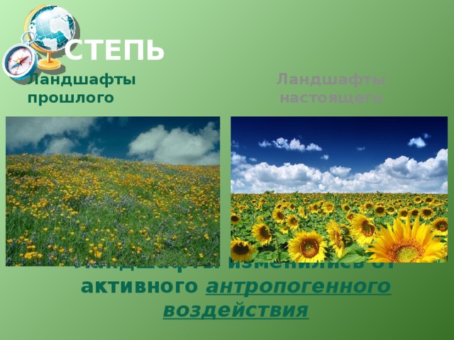 СТЕПЬ Ландшафты прошлого Ландшафты настоящего Ландшафты изменились от активного антропогенного воздействия 
