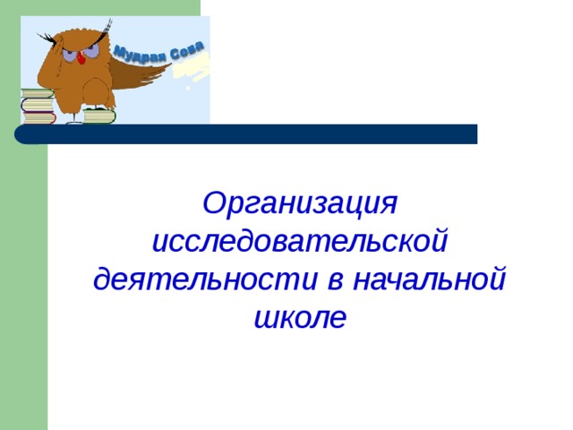 Организация исследовательской деятельности в начальной школе  