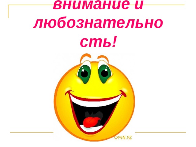 Спасибо за внимание и любознательность! 