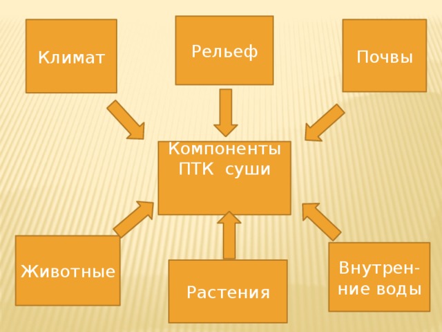 Рельеф Климат Почвы Компоненты ПТК суши   Животные Внутрен-ние воды Растения 