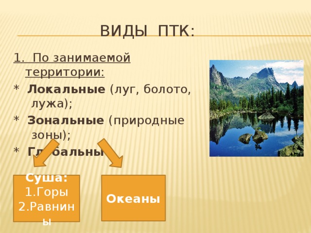 ВИДЫ ПТК: 1. По занимаемой территории: * Локальные (луг, болото, лужа); * Зональные (природные зоны); * Глобальные Суша: Океаны 1.Горы 2.Равнины 