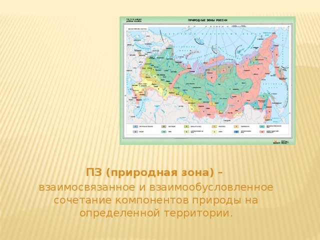 ПЗ (природная зона) – взаимосвязанное и взаимообусловленное сочетание компонентов природы на определенной территории. 