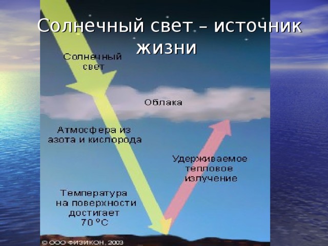  Солнечный свет – источник  жизни 