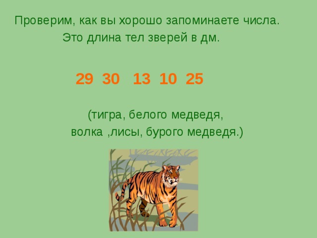Проверим, как вы хорошо запоминаете числа.  Это длина тел  зверей в дм.   29 30 13 10 25 ( тигра, белого медведя,  волка  ,лисы, бурого медведя.)