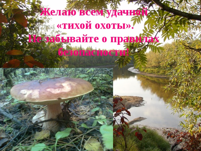 Желаю всем удачной «тихой охоты». Не забывайте о правилах безопасности! 
