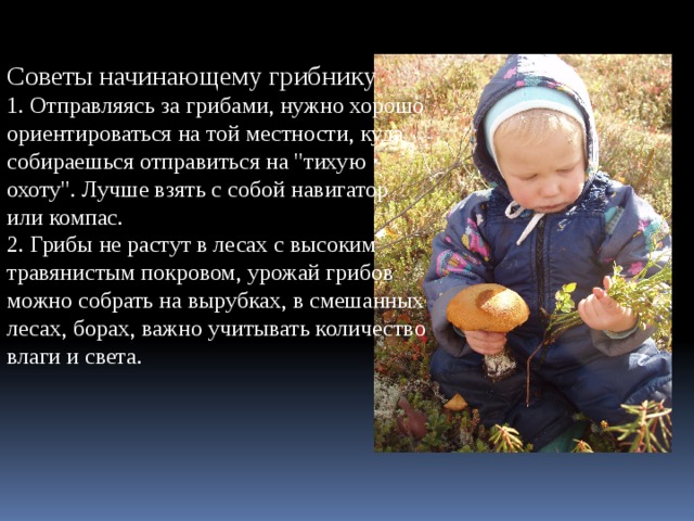 Советы начинающему грибнику  1. Отправляясь за грибами, нужно хорошо ориентироваться на той местности, куда собираешься отправиться на 