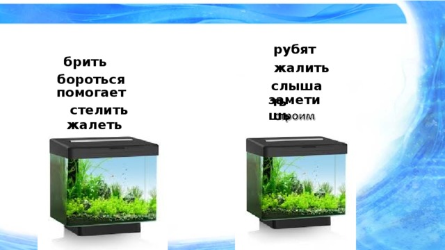 рубят брить жалить бороться слышать помогает заметишь стелить жалеть 