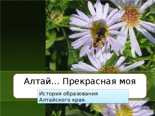 Алтай… Прекрасная моя родина. История образования Алтайского края. 