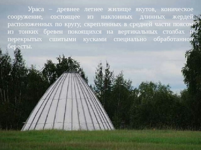  Ураса – древнее летнее жилище якутов, коническое сооружение, состоящее из наклонных длинных жердей расположенных по кругу, скрепленных в средней части поясом из тонких бревен покоящихся на вертикальных столбах и перекрытых сшитыми кусками специально обработанной бересты. 