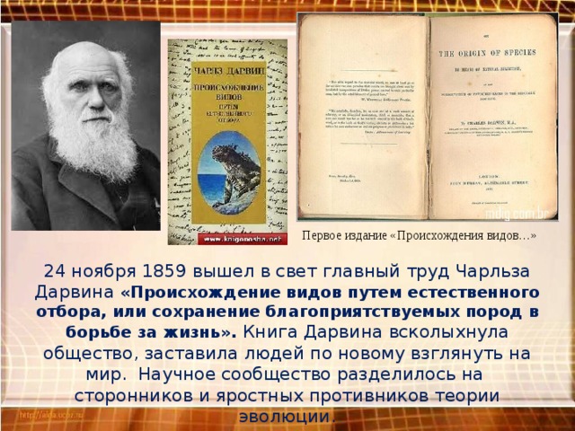 Первое издание «Происхождения видов…» 24 ноября 1859 вышел в свет главный труд Чарльза Дарвина «Происхождение видов путем естественного отбора, или сохранение благоприятствуемых пород в борьбе за жизнь». Книга Дарвина всколыхнула общество, заставила людей по новому взглянуть на мир. Научное сообщество разделилось на сторонников и яростных противников теории эволюции. 