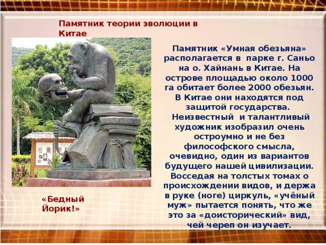Памятник теории эволюции в Китае Памятник «Умная обезьяна» располагается в парке г. Саньо на о. Хайнань в Китае. На острове площадью около 1000 га обитает более 2000 обезьян. В Китае они находятся под защитой государства.  Неизвестный и талантливый художник изобразил очень остроумно и не без философского смысла, очевидно, один из вариантов будущего нашей цивилизации. Восседая на толстых томах о происхождении видов, и держа в руке (ноге) циркуль, «учёный муж» пытается понять, что же это за «доисторический» вид, чей череп он изучает. «Бедный Йорик!» 