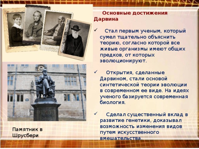  Основные достижения Дарвина    Стал первым ученым, который сумел тщательно объяснить теорию, согласно которой все живые организмы имеют общих предков, от которых эволюционируют.  Открытия, сделанные Дарвином, стали основой синтетической теории эволюции в современном ее виде. На идеях ученого базируется современная биология.  Сделал существенный вклад в развитие генетики, доказывал возможность изменения видов путем искусственного вмешательства.   Памятник в Шрусбери 