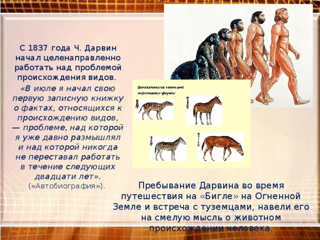 С 1837 года Ч. Дарвин начал целенаправленно работать над проблемой происхождения видов. «В июле я начал свою первую записную книжку о фактах, относящихся к происхождению видов, — проблеме, над которой я уже давно размышлял и над которой никогда не переставал работать в течение следующих двадцати лет».  («Автобиография»). Пребывание Дарвина во время путешествия на «Бигле» на Огненной Земле и встреча с туземцами, навели его на смелую мысль о животном происхождении человека. 