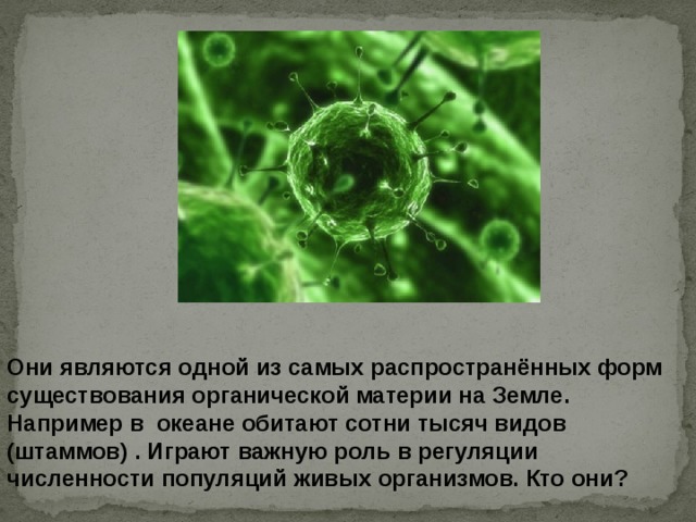 Они являются одной из самых распространённых форм существования органической материи на Земле. Например в океане обитают сотни тысяч видов (штаммов) . Играют важную роль в регуляции численности популяций живых организмов. Кто они? 