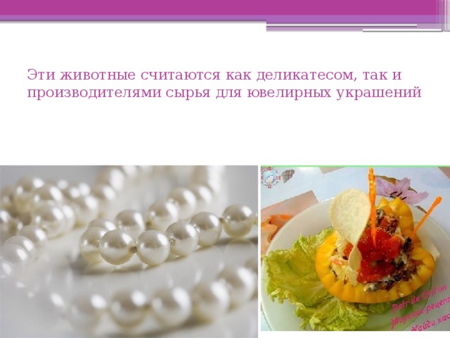 Эти животные считаются как деликатесом, так и производителями сырья для ювелирных украшений 